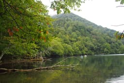 Arriving in Matsumoto