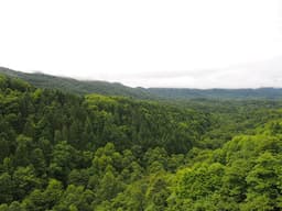 -41.2°C, borscht, pirozhki