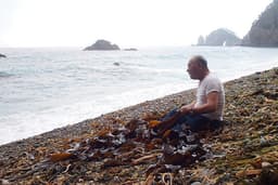 Following the Fukushima Tragedy: Behind the "Tsunami Warning" Sign