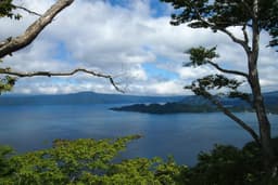 Star-gazer, Tsunami Zone