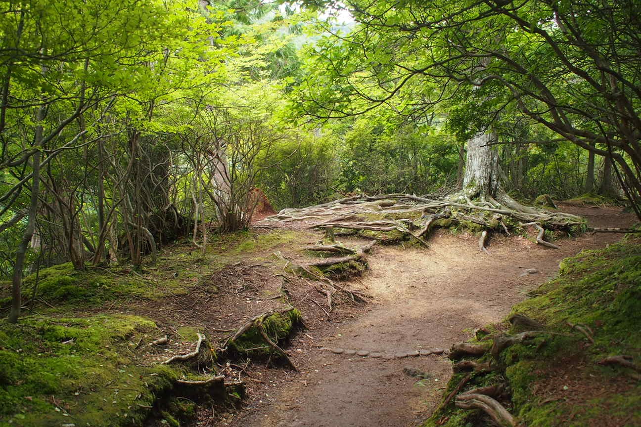 Прибытие в Матсумото