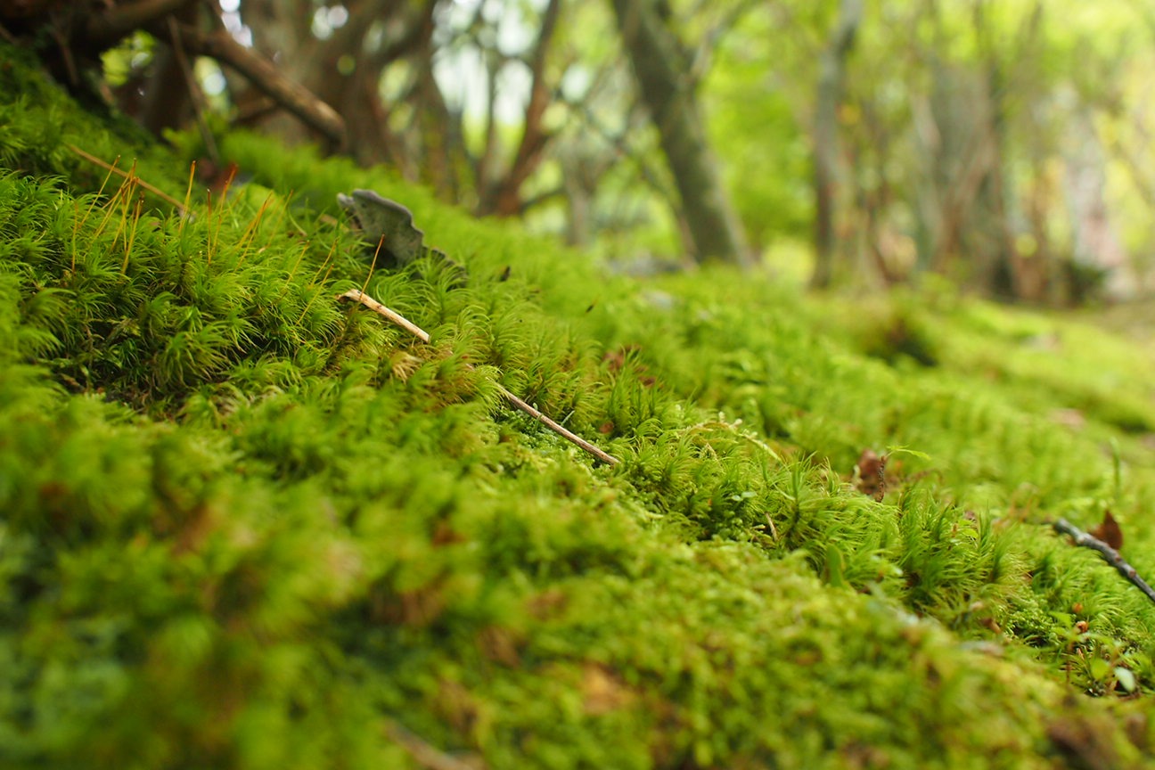 Прибытие в Матсумото