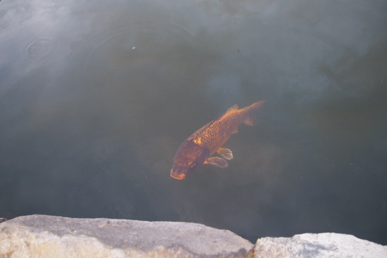 Прибытие в Матсумото