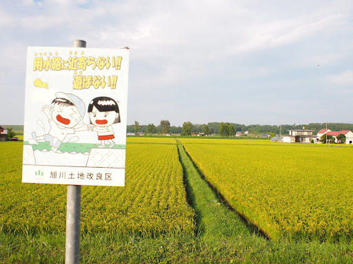 Путь от Асахикавы в Саппоро через Фурано