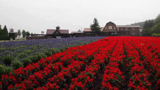 Путь от Асахикавы в Саппоро через Фурано