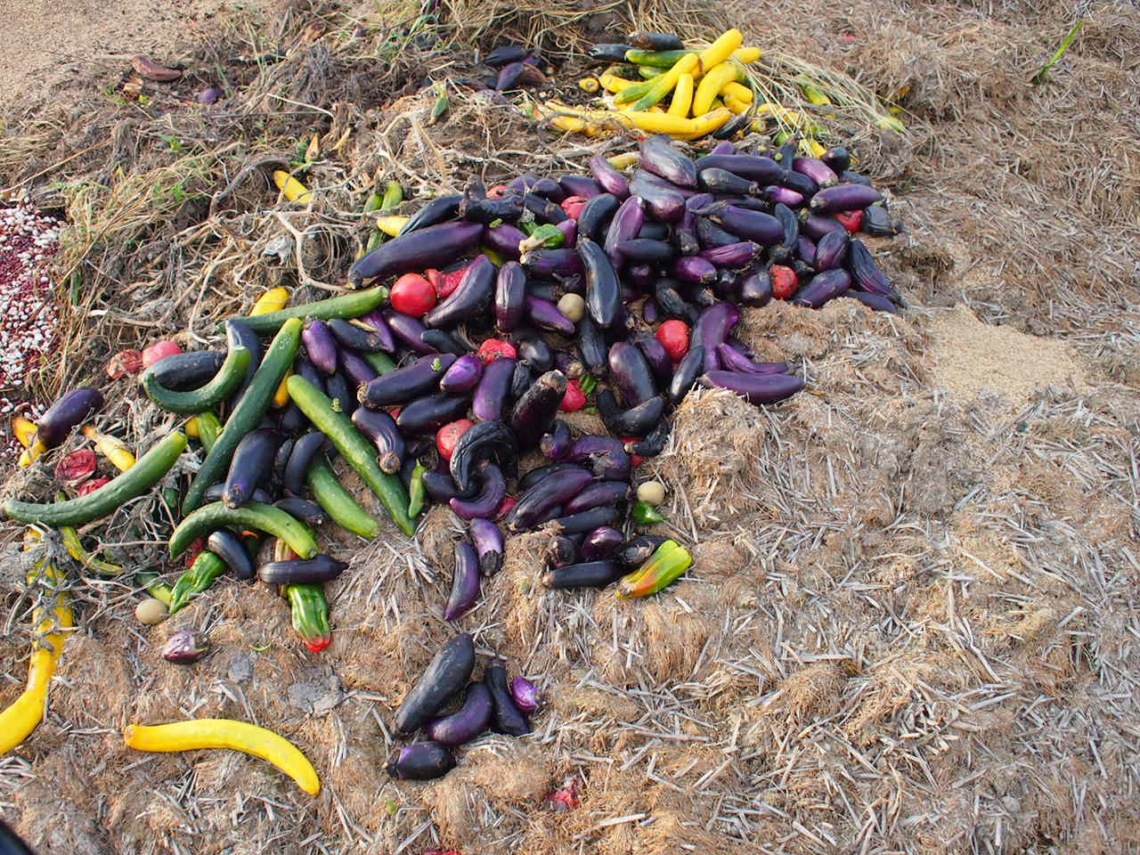 Путь от Асахикавы в Саппоро через Фурано