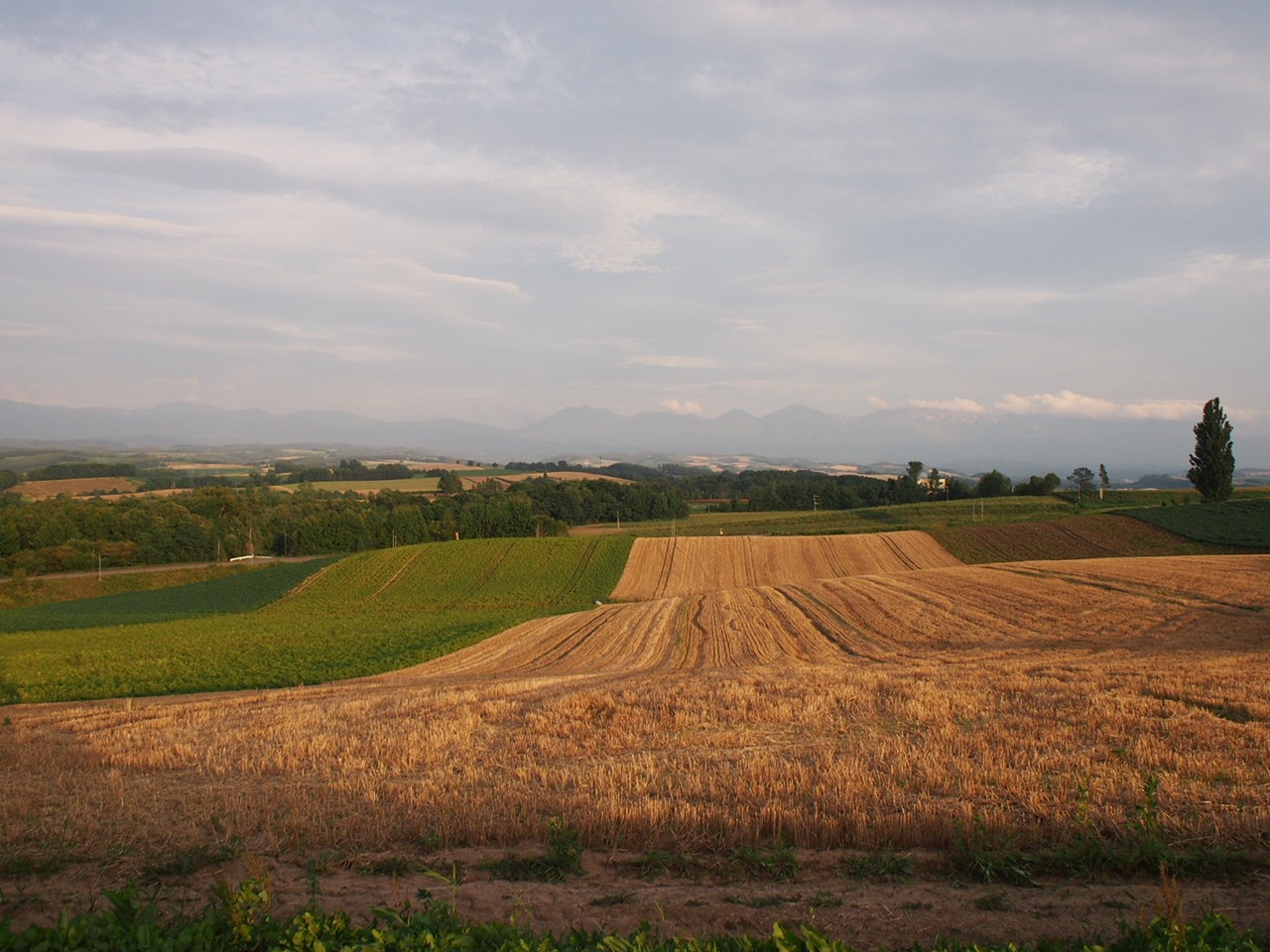 Путь от Асахикавы в Саппоро через Фурано