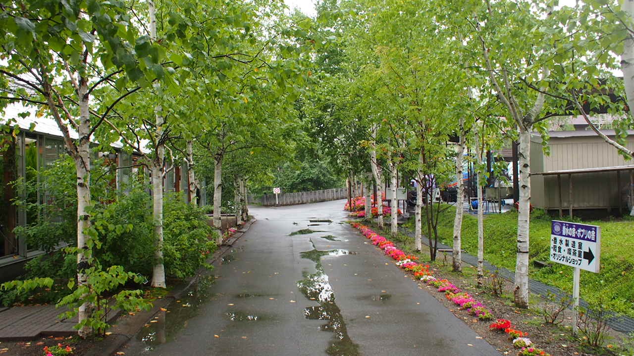 Путь от Асахикавы в Саппоро через Фурано