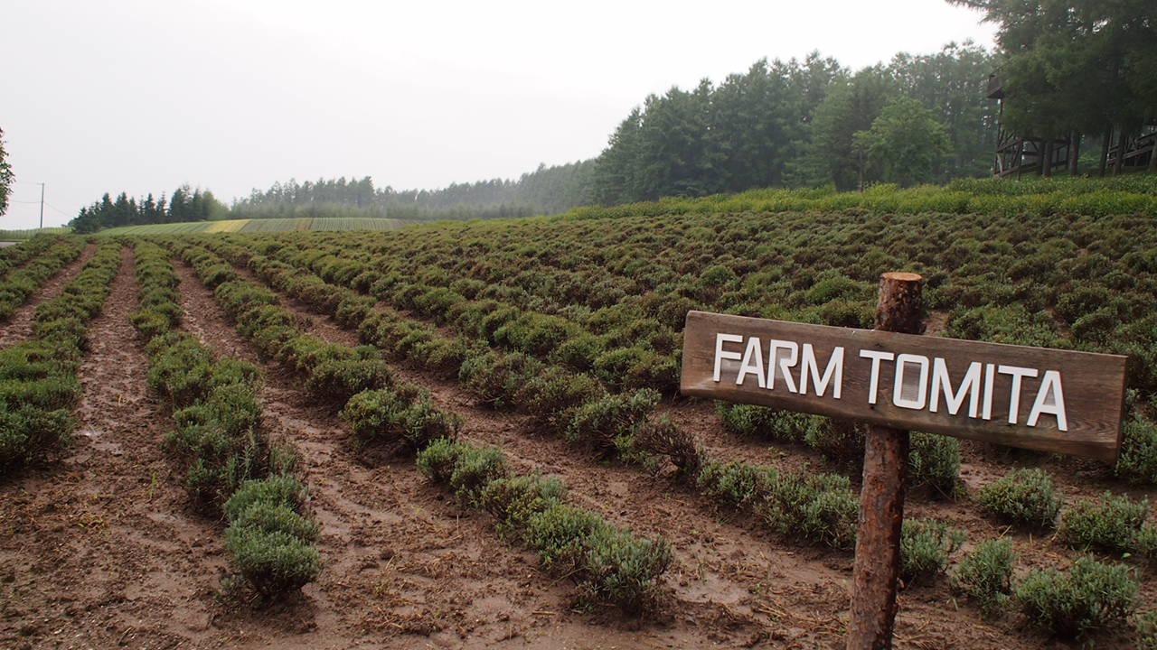 Путь от Асахикавы в Саппоро через Фурано
