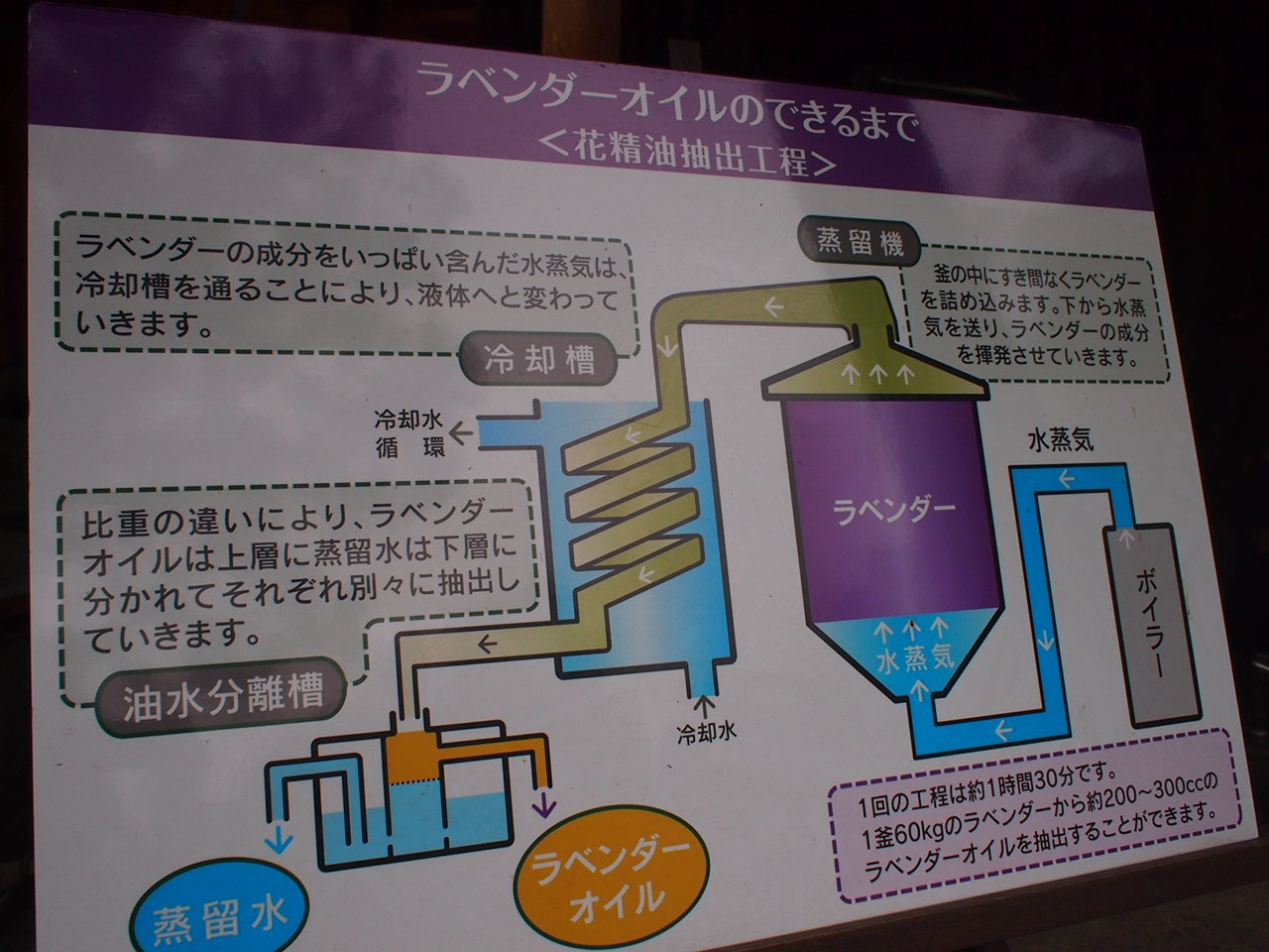 Путь от Асахикавы в Саппоро через Фурано