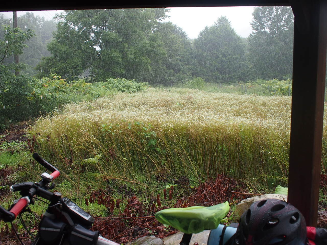 Путь от Асахикавы в Саппоро через Фурано