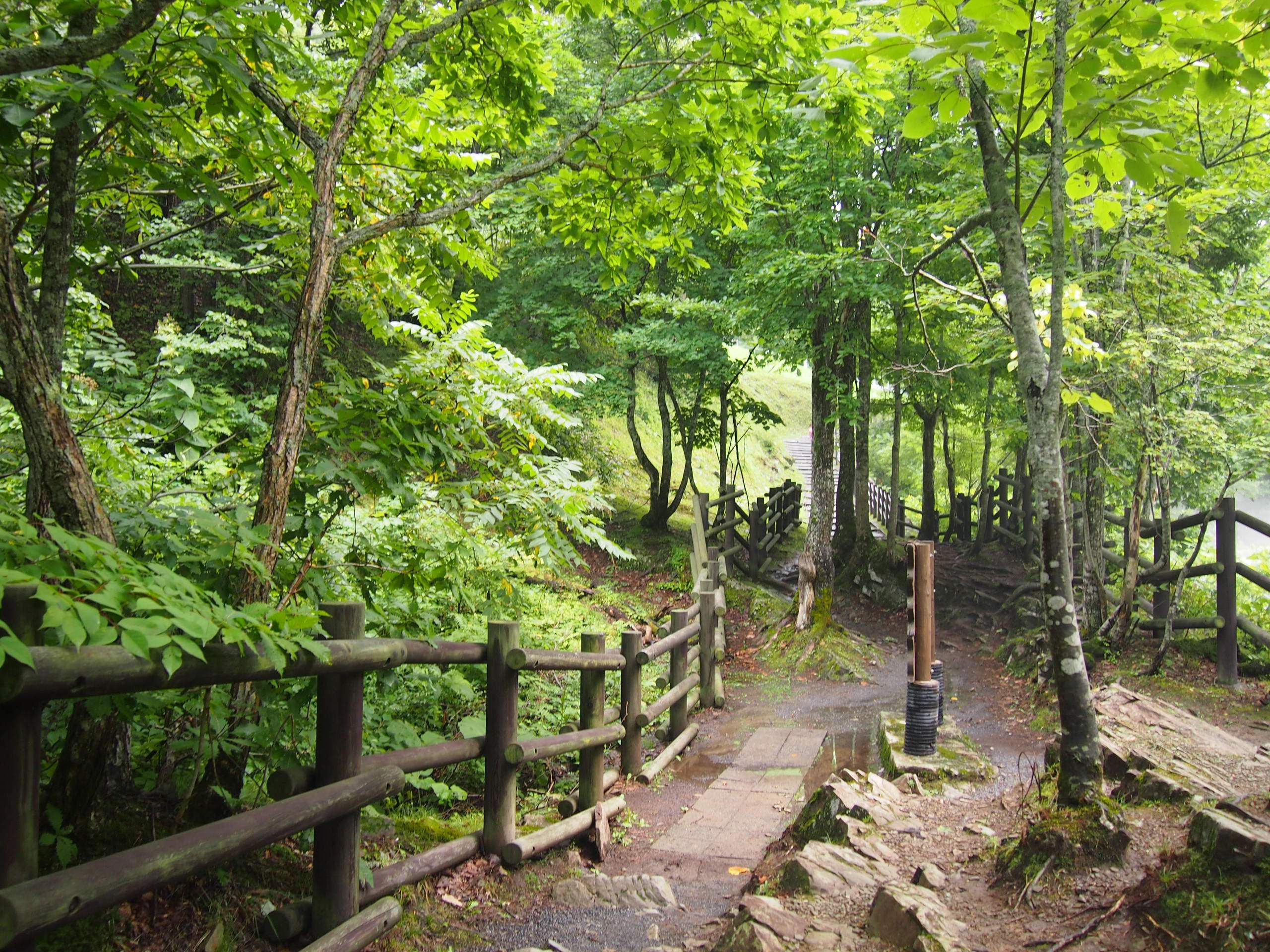 Путь от Асахикавы в Саппоро через Фурано