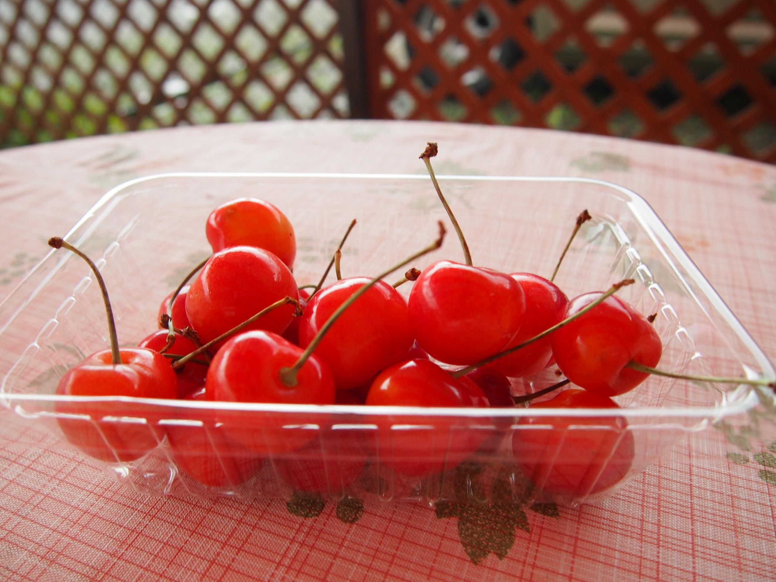 Путь от Асахикавы в Саппоро через Фурано