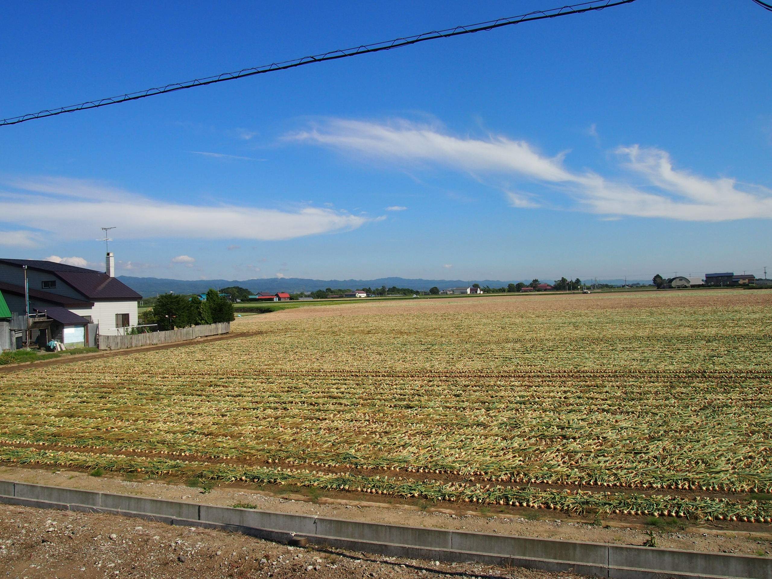 Путь от Асахикавы в Саппоро через Фурано