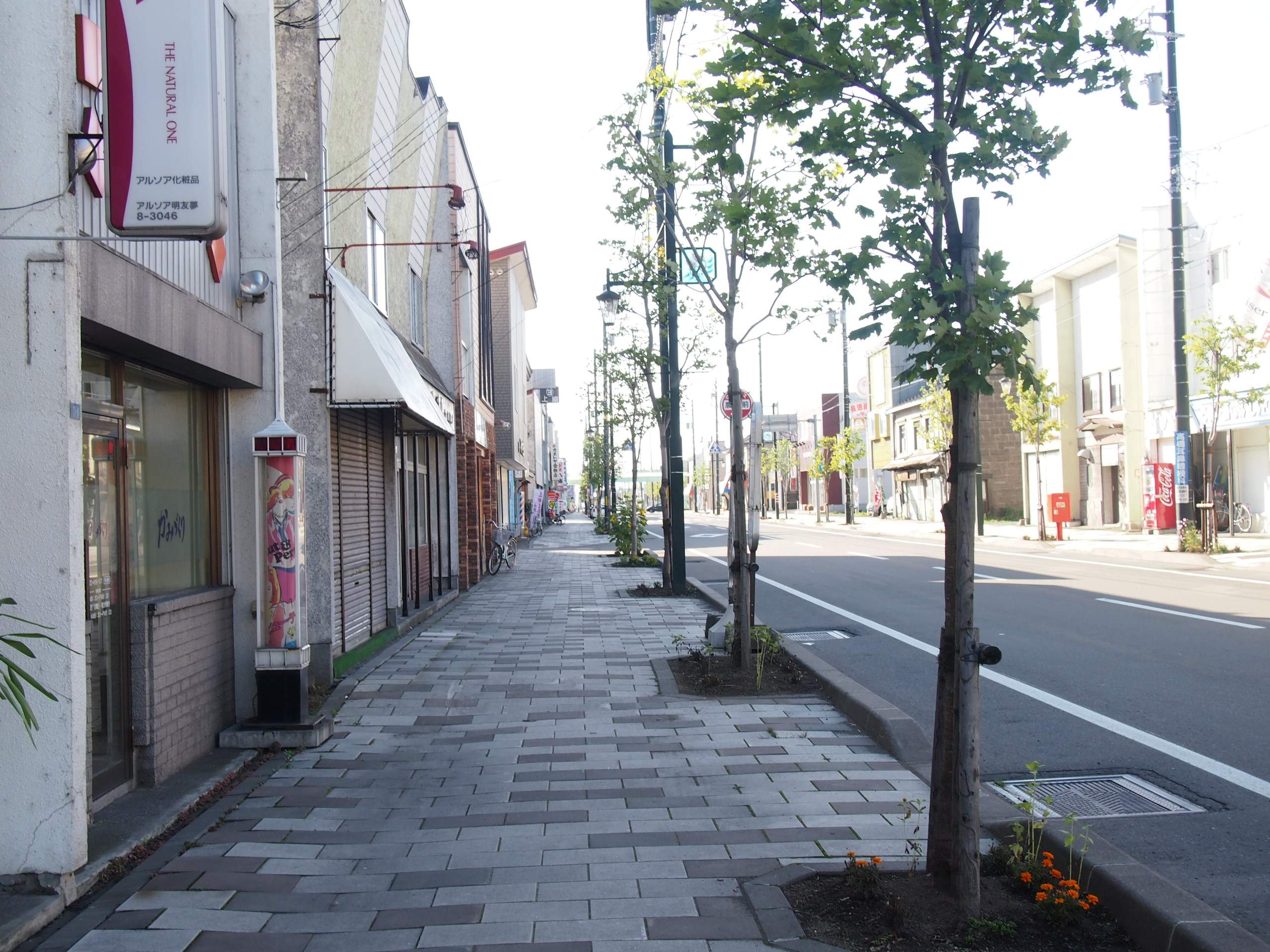 Путь от Асахикавы в Саппоро через Фурано