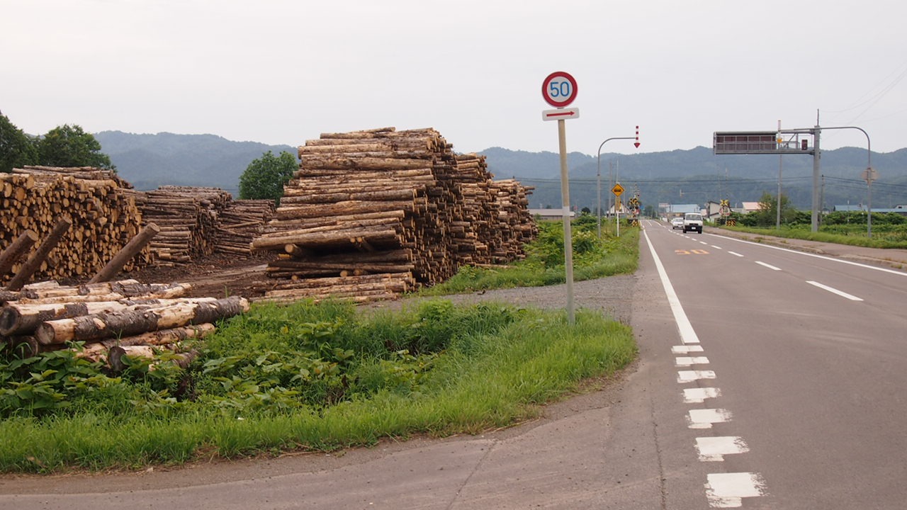 Город Бифка