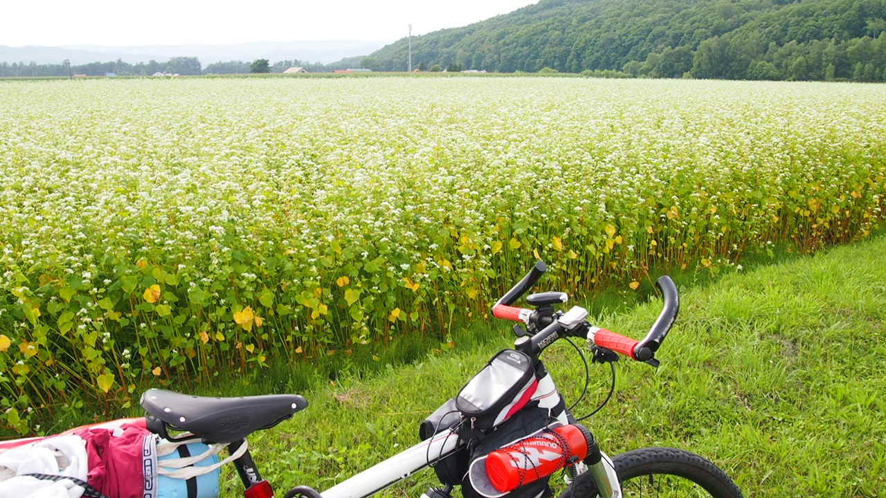 Город Бифка