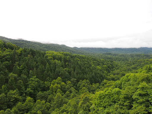 -41.2°С, борщ, пирожки