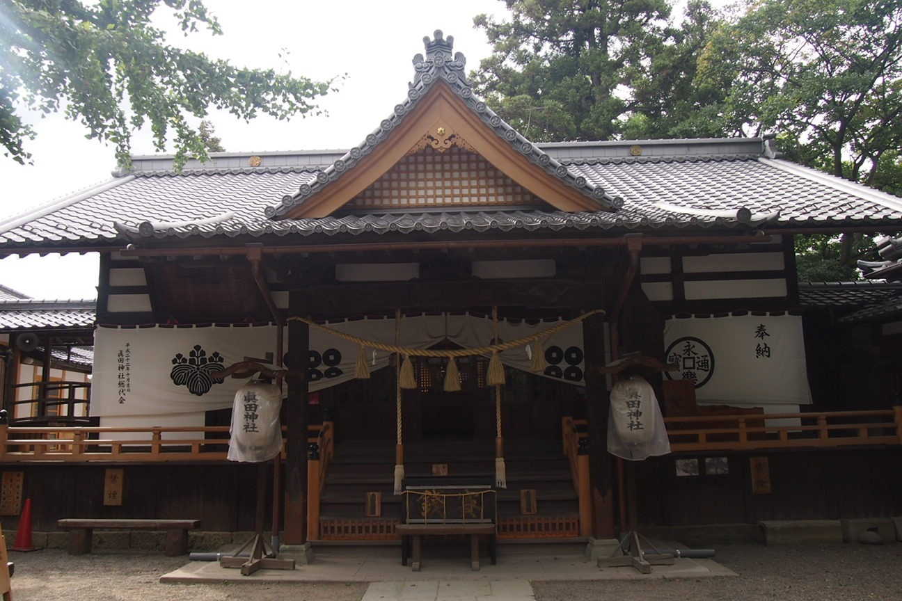 День контрастов