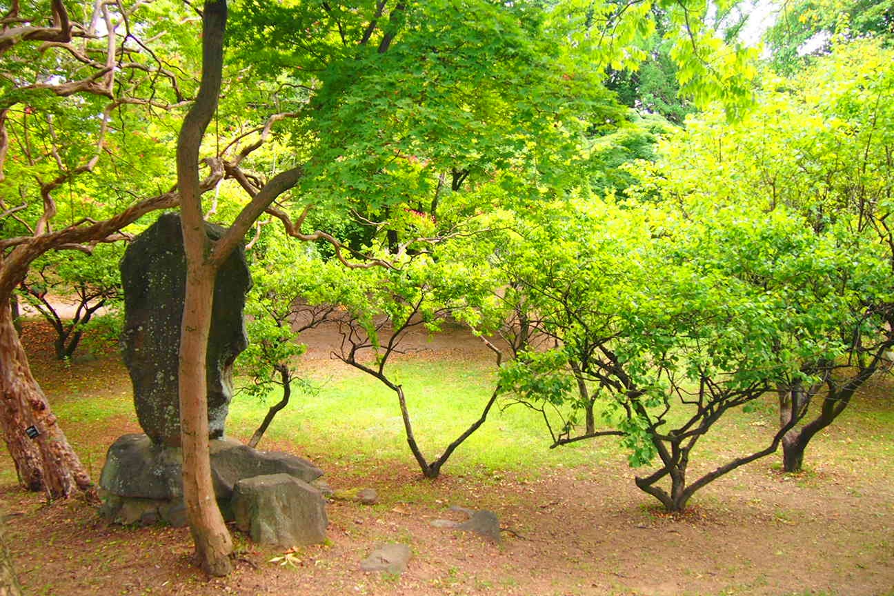 День контрастов