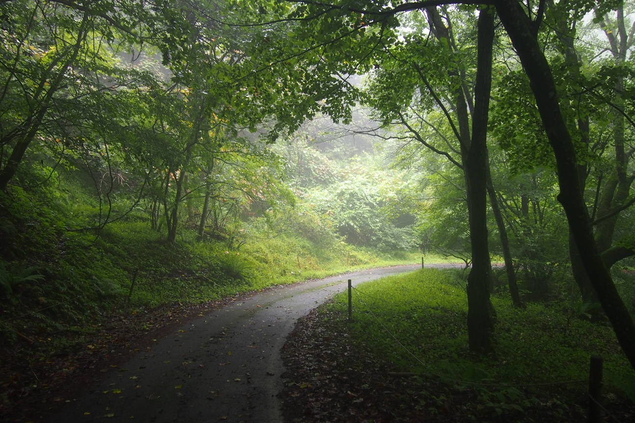 День контрастов