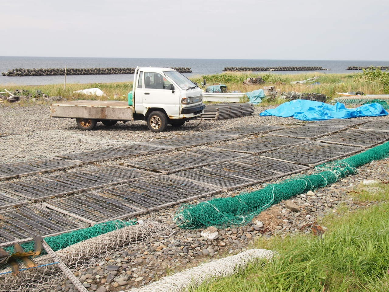 Первый день в седле