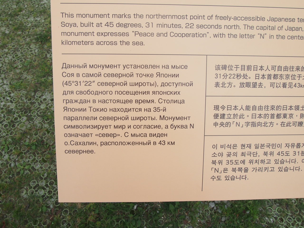 Первый день в седле