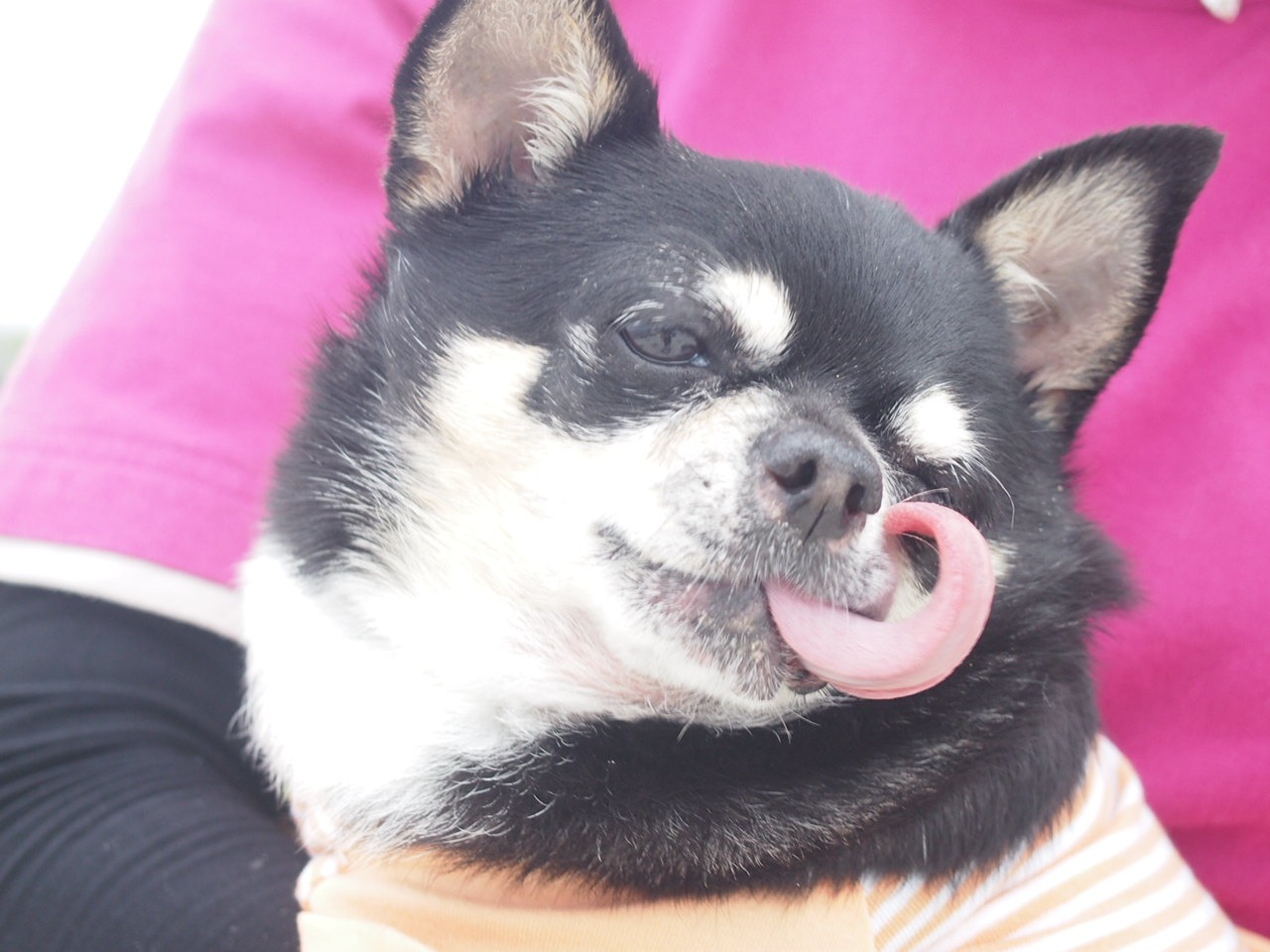 Первый день в седле