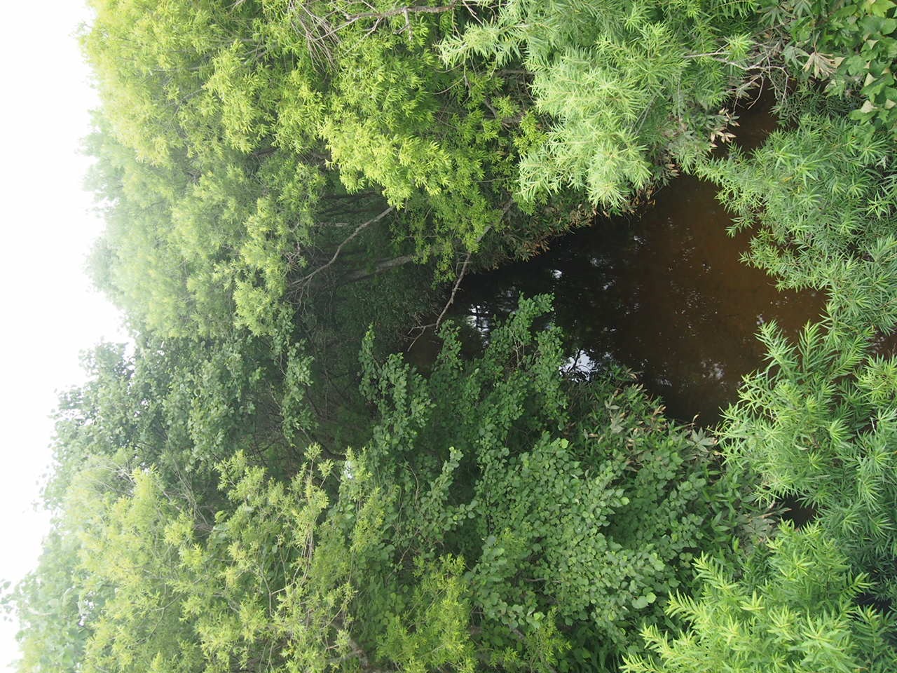 Первый день в седле