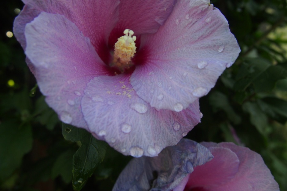 Первый день на Хонсю, встреча с моряками