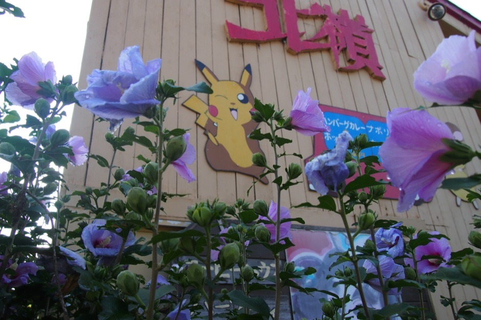 Первый день на Хонсю, встреча с моряками