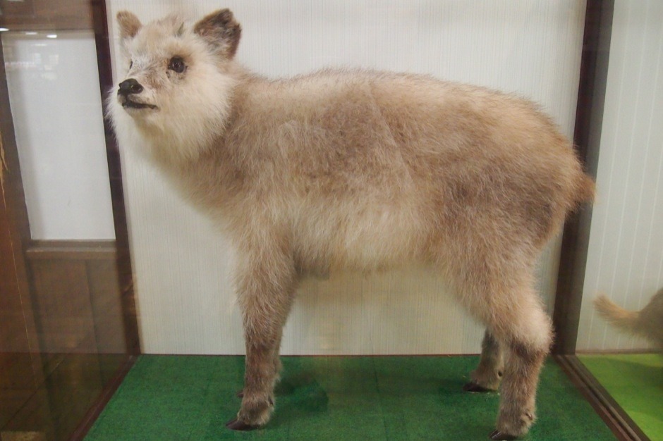 Первый день на Хонсю, встреча с моряками