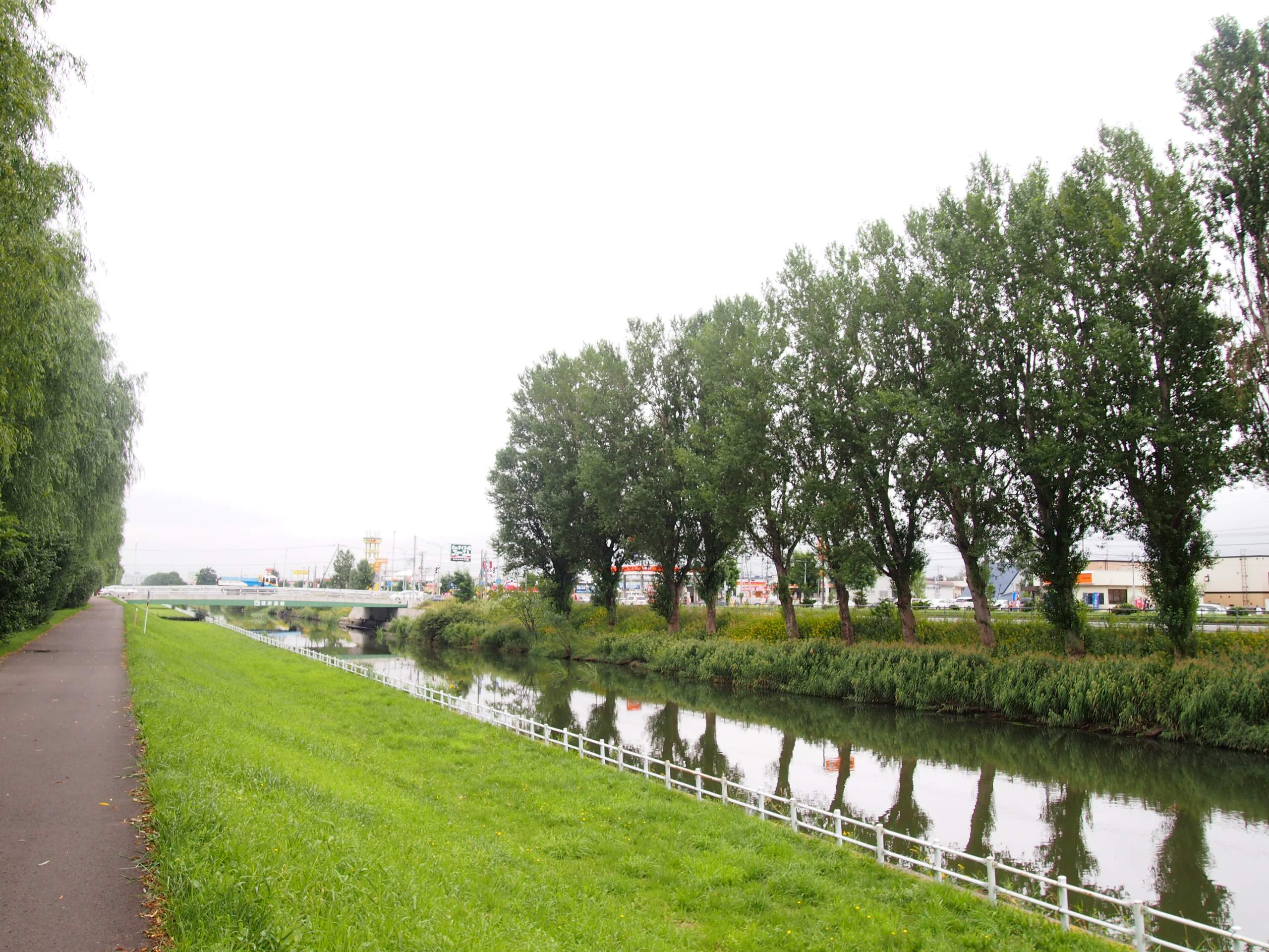 Беседы за ухой