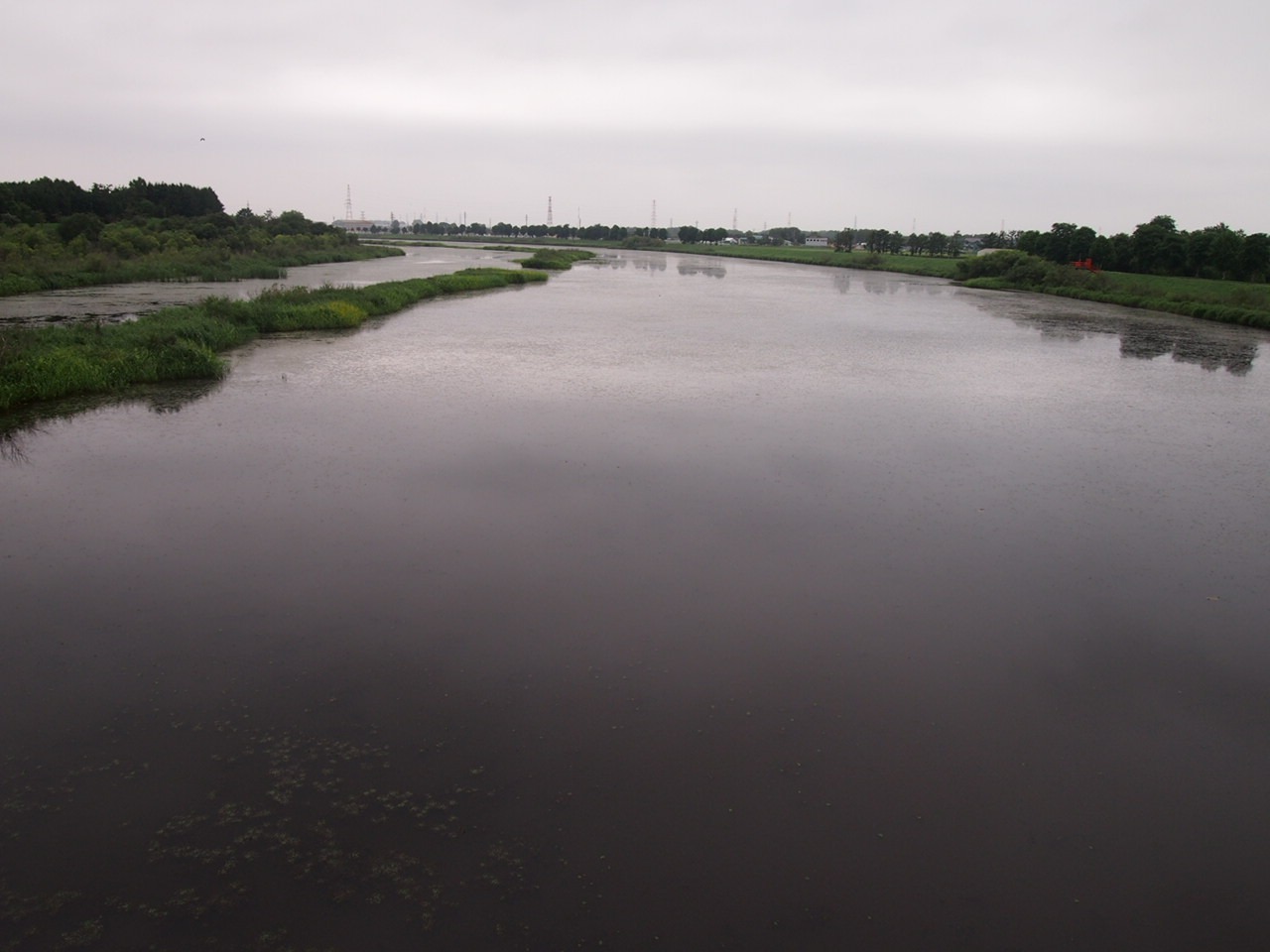 Беседы за ухой