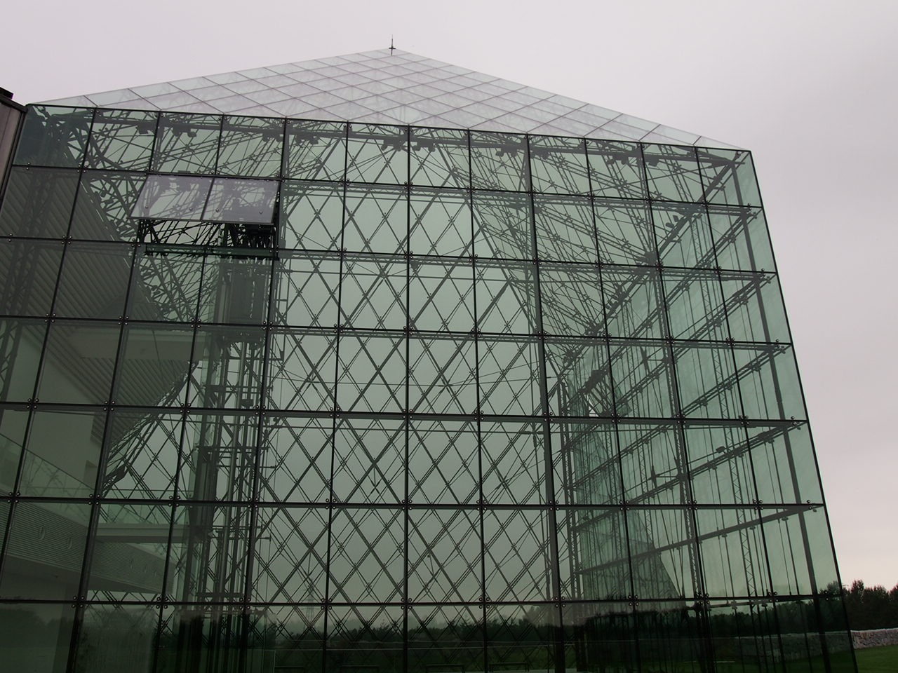 Беседы за ухой