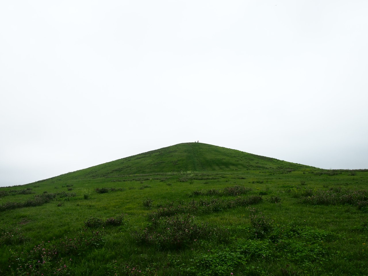 Беседы за ухой