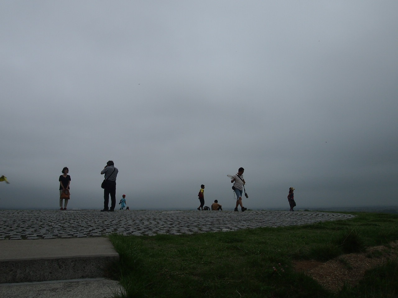 Беседы за ухой