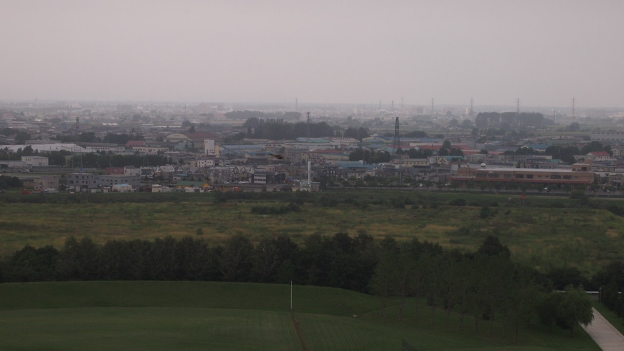 Беседы за ухой