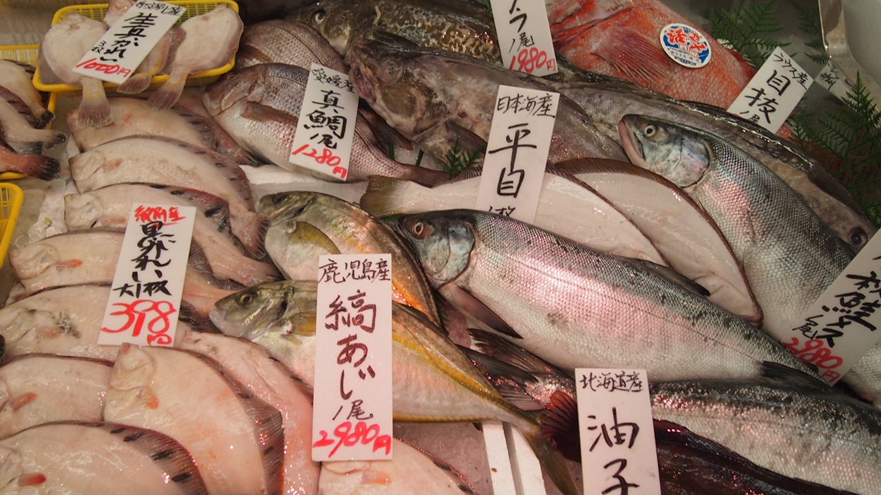 Беседы за ухой