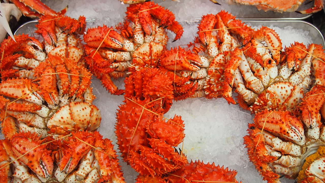 Беседы за ухой