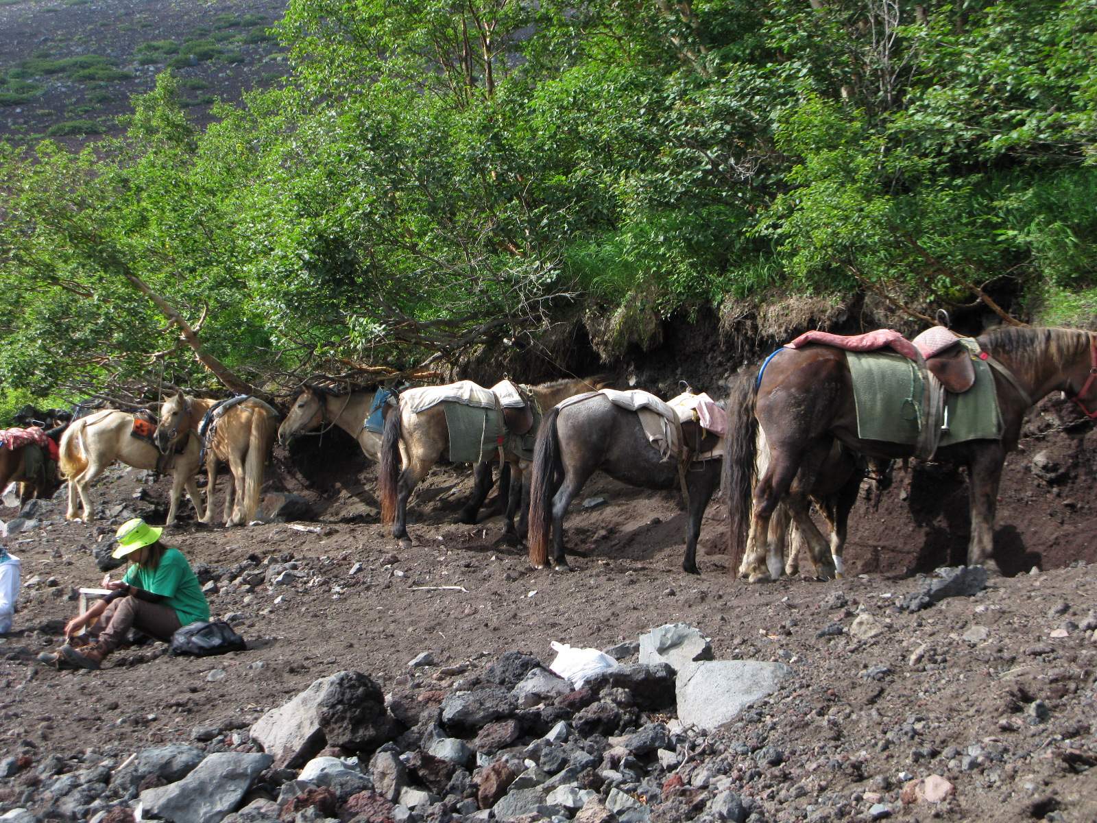 Ночной подъем на Фуджи 🗻