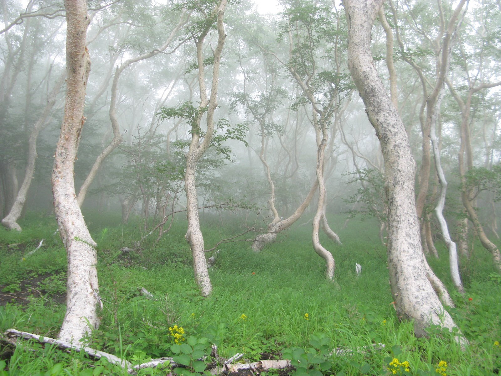 Ночной подъем на Фуджи 🗻