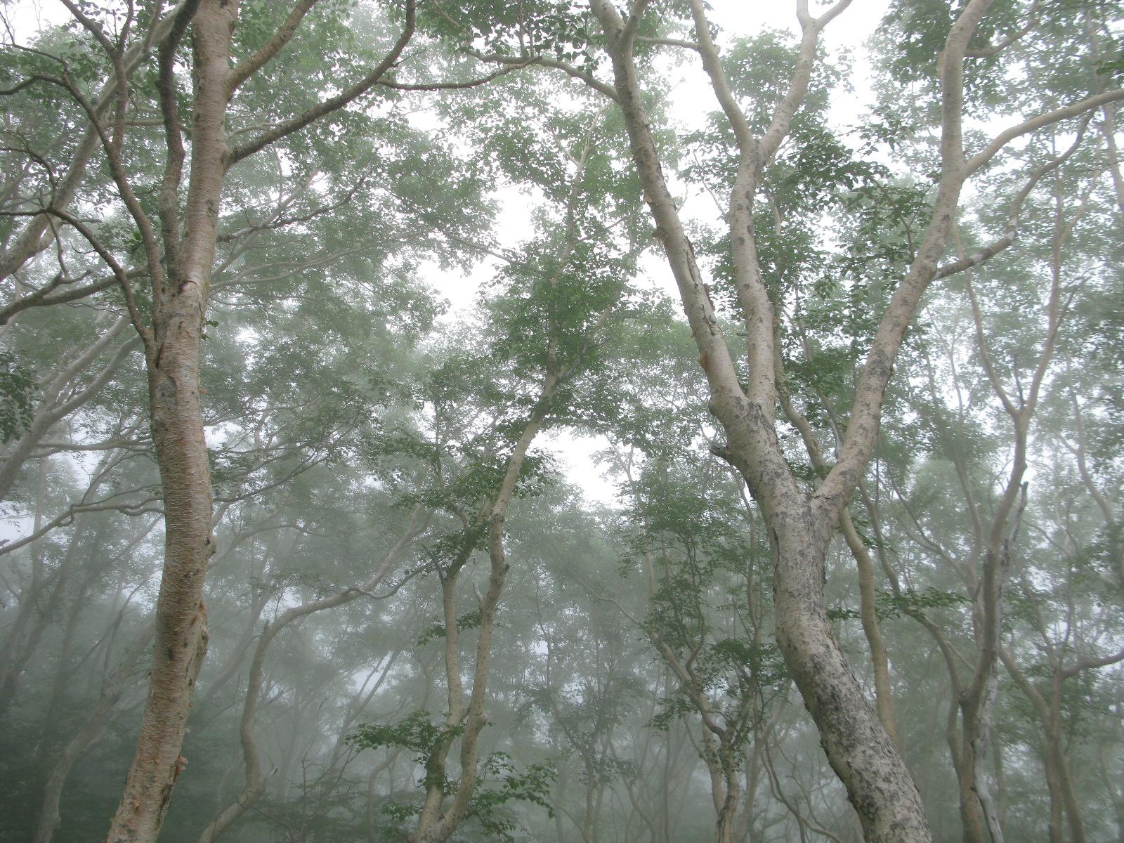 Ночной подъем на Фуджи 🗻