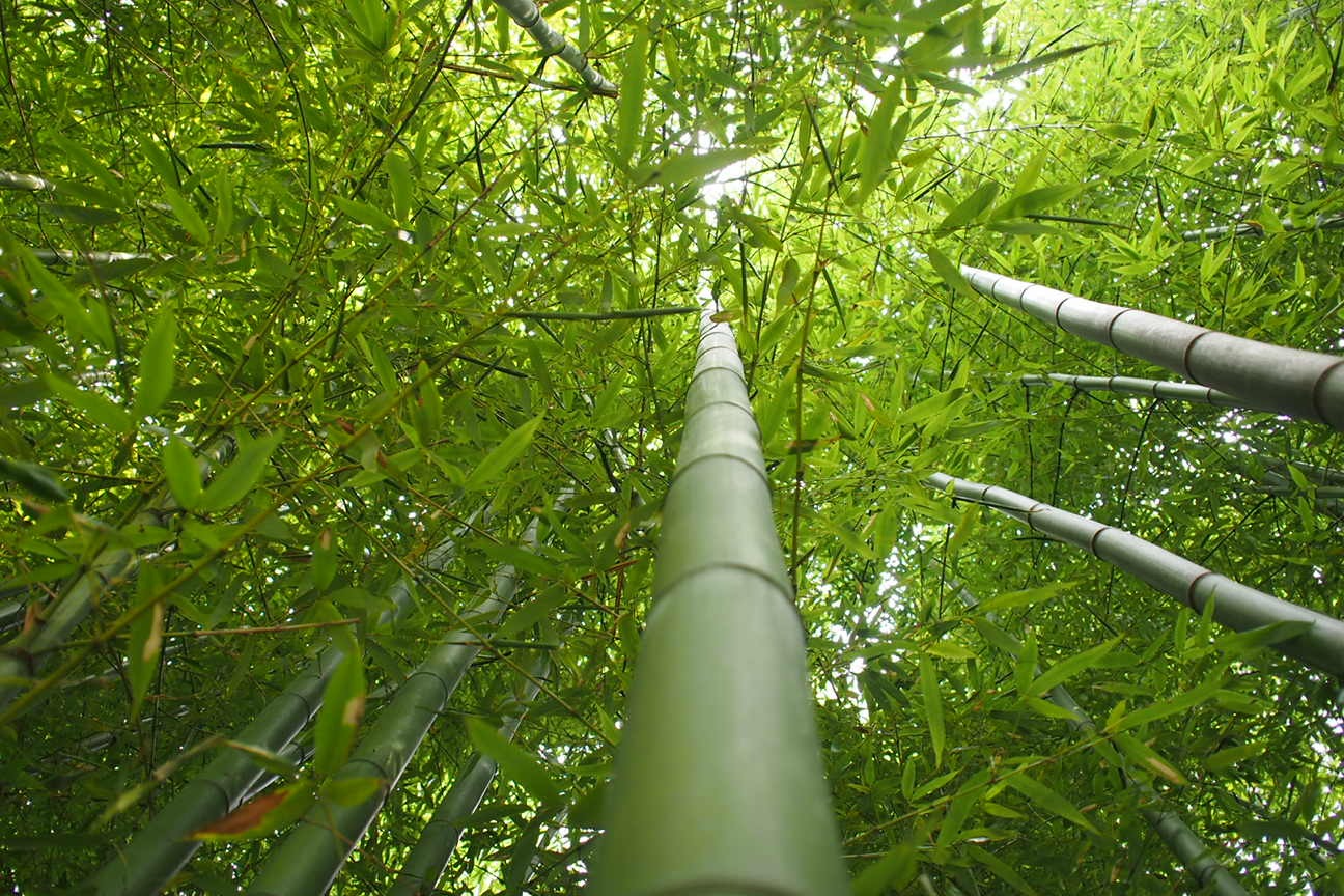 По следам трагедии 3.11: на крыше дома