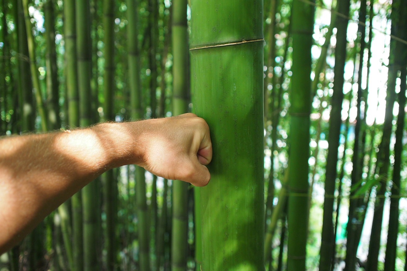 По следам трагедии 3.11: на крыше дома