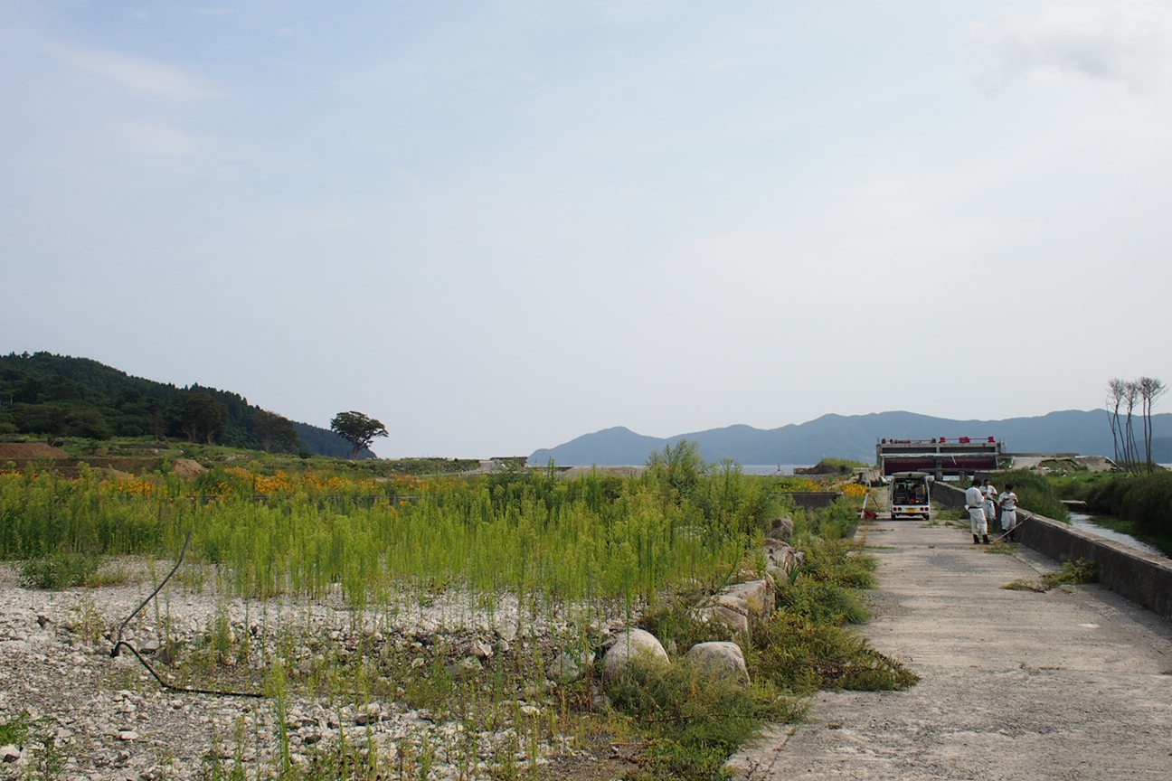 По следам трагедии 3.11: на крыше дома