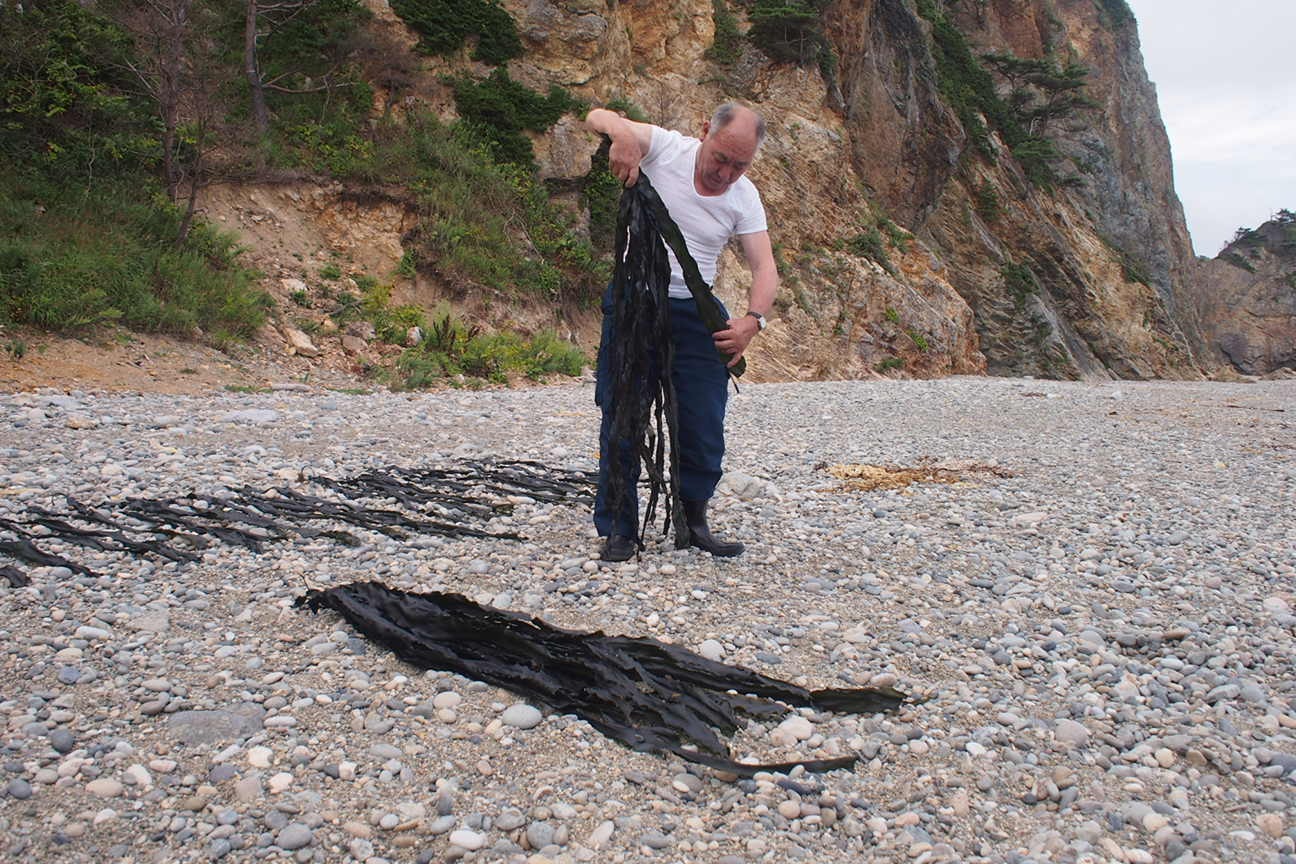 По следам трагедии Фукушима: за знаком "Осторожно, цунами"