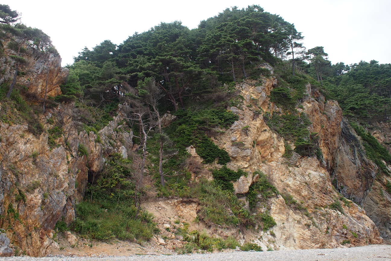 По следам трагедии Фукушима: за знаком "Осторожно, цунами"