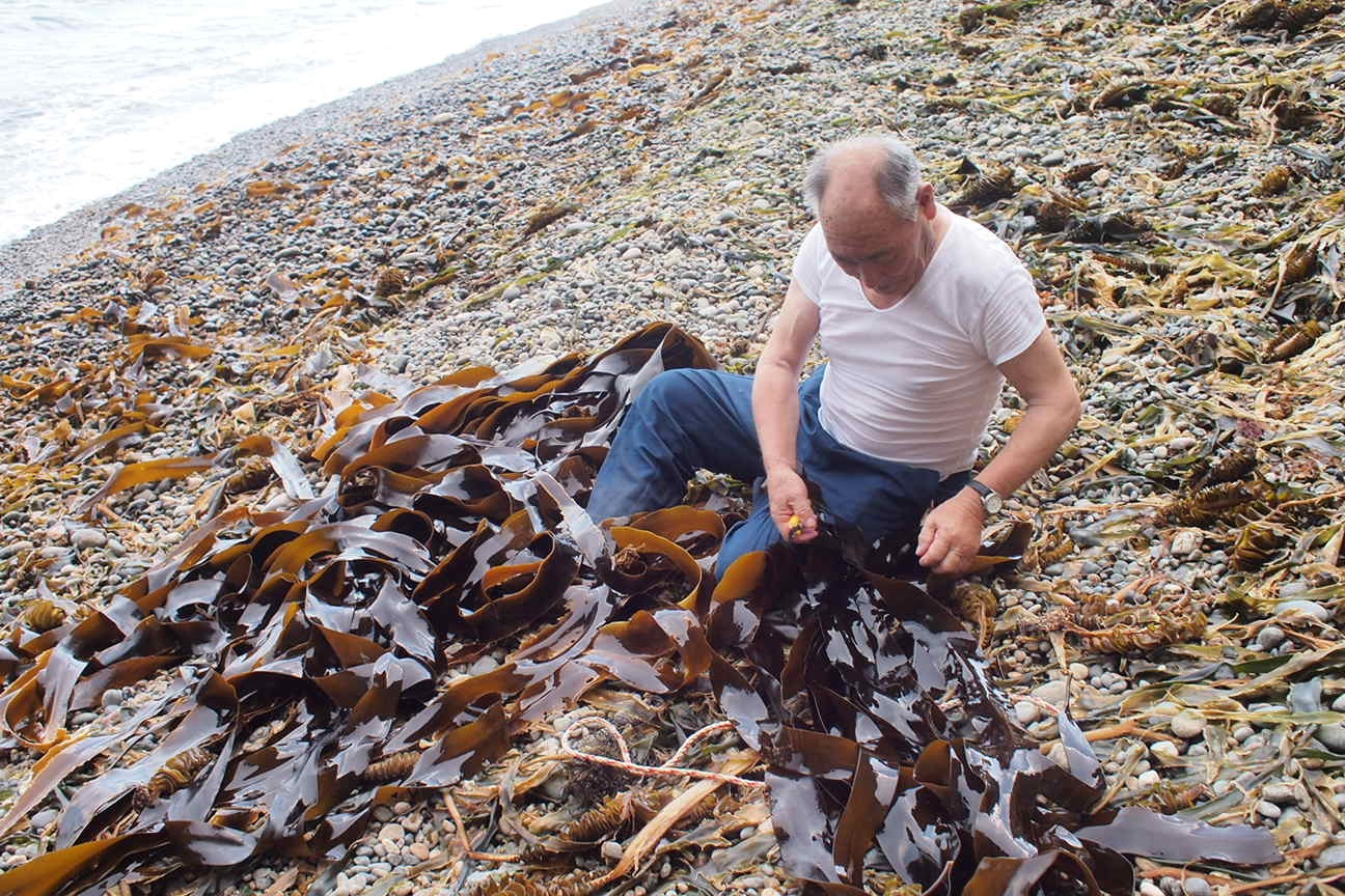 По следам трагедии Фукушима: за знаком "Осторожно, цунами"
