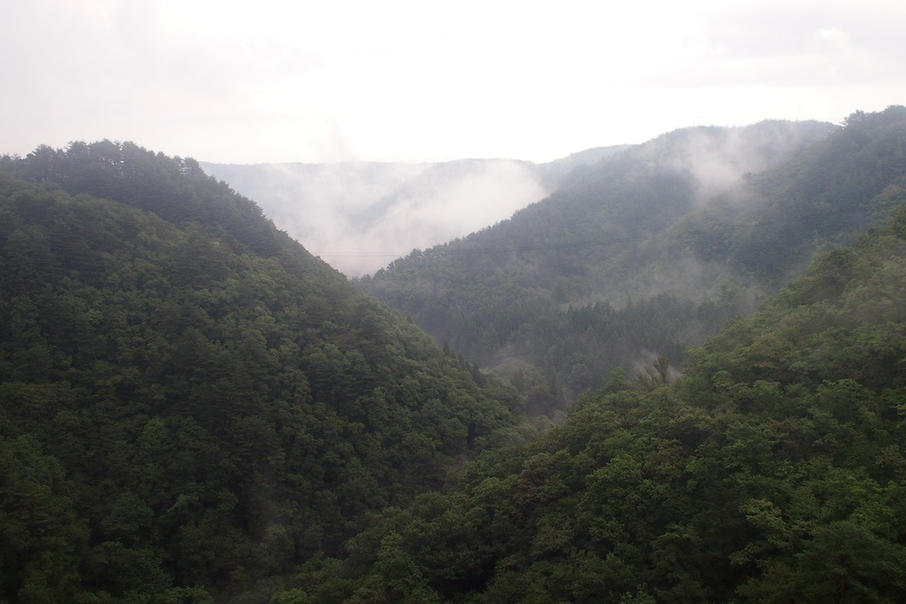 По следам трагедии Фукушима: за знаком "Осторожно, цунами"